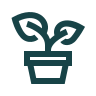 plante-96