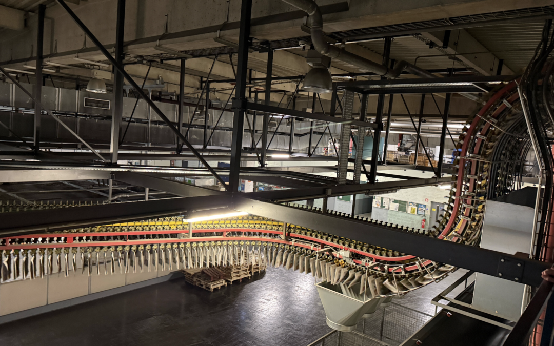 Retour sur notre visite de la Voix du Nord